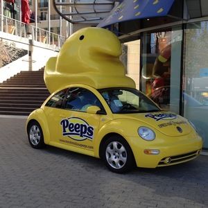 Meet your Posher, Joe